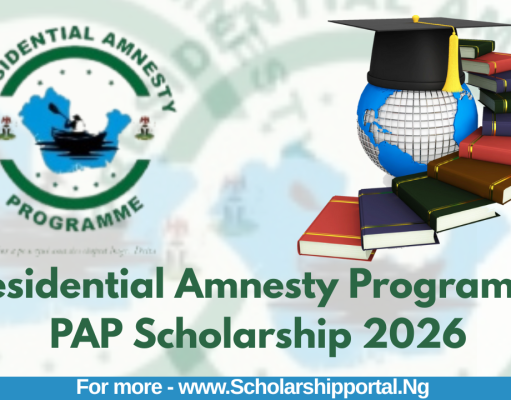 Presidential Amnesty Programme PAP Scholarship 2026 | Application Guide and Requirements PAP Scholarship