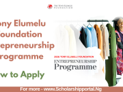 Tony Elumelu Foundation Entrepreneurship Programme (TEF) 2026 | How to Apply Tony Elumelu Foundation Entrepreneurship