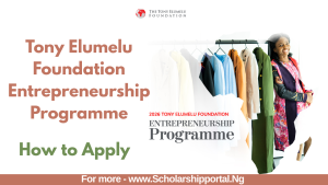 Tony Elumelu Foundation Entrepreneurship