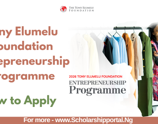 Tony Elumelu Foundation Entrepreneurship Programme (TEF) 2026 | How to Apply Tony Elumelu Foundation Entrepreneurship