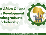 West Africa Oil and Gas Development Undergraduate Scholarship 2026 | WESTAFRICAOIL Scholarship Application Guide WESTAFRICAOIL Scholarship