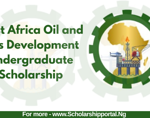 West Africa Oil and Gas Development Undergraduate Scholarship 2026 | WESTAFRICAOIL Scholarship Application Guide WESTAFRICAOIL Scholarship