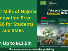 Flour Mills of Nigeria Innovation Prize 2026 for Students and SMEs | Win Up to ₦11.5m Flour Mills of Nigeria Innovation