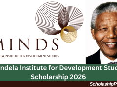 Mandela Institute for Development Studies Scholarship 2026 | How to Apply Mandela Institute