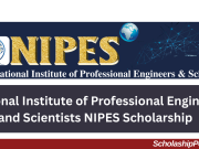 National Institute of Professional Engineers and Scientists NIPES Scholarship 2026 | How to Apply NIPES Scholarship