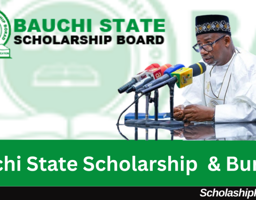 Bauchi State Scholarship & Bursary 2026 | How to Apply Bauchi State Scholarship