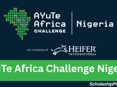 AYuTe Africa Challenge Nigeria 2026 | How to Apply AYuTe Africa Challenge Nigeria