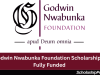 Dr. Godwin Nwabunka Foundation Scholarship 2026 | Fully Funded Scholarship Dr. Godwin Nwabunka Foundation Scholarship