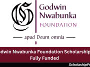 Dr. Godwin Nwabunka Foundation Scholarship 2026 | Fully Funded Scholarship Dr. Godwin Nwabunka Foundation Scholarship