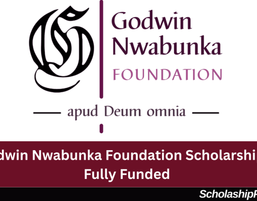 Dr. Godwin Nwabunka Foundation Scholarship 2026 | Fully Funded Scholarship Dr. Godwin Nwabunka Foundation Scholarship