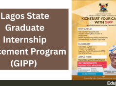 Lagos State Graduate Internship Placement Program (GIPP) 2026 | How to Apply Lagos State Graduate Internship