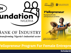 MTN Yellopreneur Program For Female Entrepreneurs 2026 | How to Apply MTN Yellopreneur Program