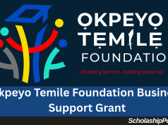 Okpeyo Temile Foundation Business Grant 2026 | How to Apply Okpeyo Temile Foundation Business Grant