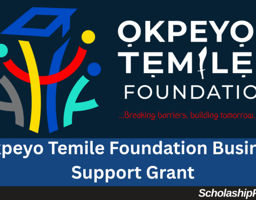 Okpeyo Temile Foundation Business Grant 2026 | How to Apply Okpeyo Temile Foundation Business Grant