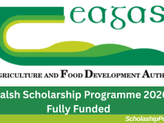 Walsh Scholarship Programme 2026 Fully Funded | How to Apply Walsh Scholarship