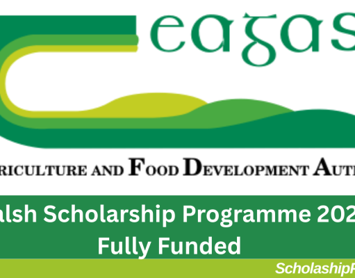 Walsh Scholarship Programme 2026 Fully Funded | How to Apply Walsh Scholarship