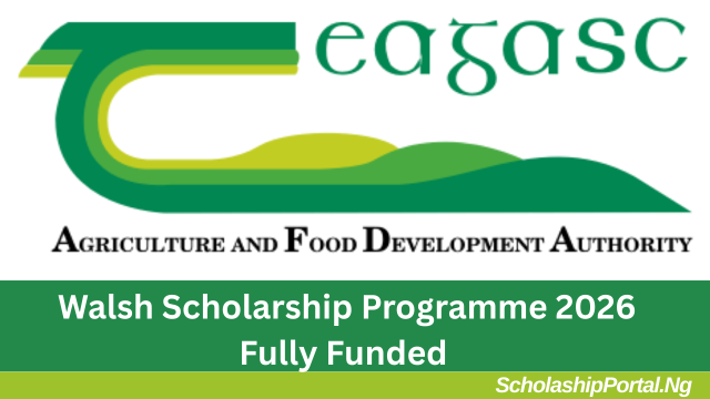 Walsh Scholarship Programme 2026 Fully Funded Walsh Scholarship