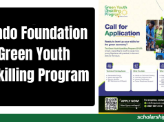 Oando Foundation Green Youth Upskilling Program 2026 | Training and Funding Opportunities Oando Foundation Green Youth Upskilling