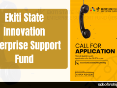 Ekiti State Innovation Enterprise Support Fund 2026 | How to Apply Ekiti State Innovation Enterprise Support