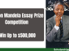 Nelson Mandela Essay Prize Competition 2026 | Up to USD 500,000 Award Nelson Mandela Essay Prize Competition