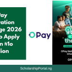 OPay Innovation Challenge