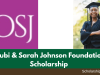 Olubi and Sarah Johnson Foundation Scholarship 2026 | Fully Funded Olubi and Sarah Johnson Foundation Scholarshi